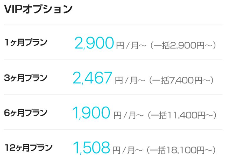 with公式サイトのVIPオプション料金と身バレ防止機能の解説